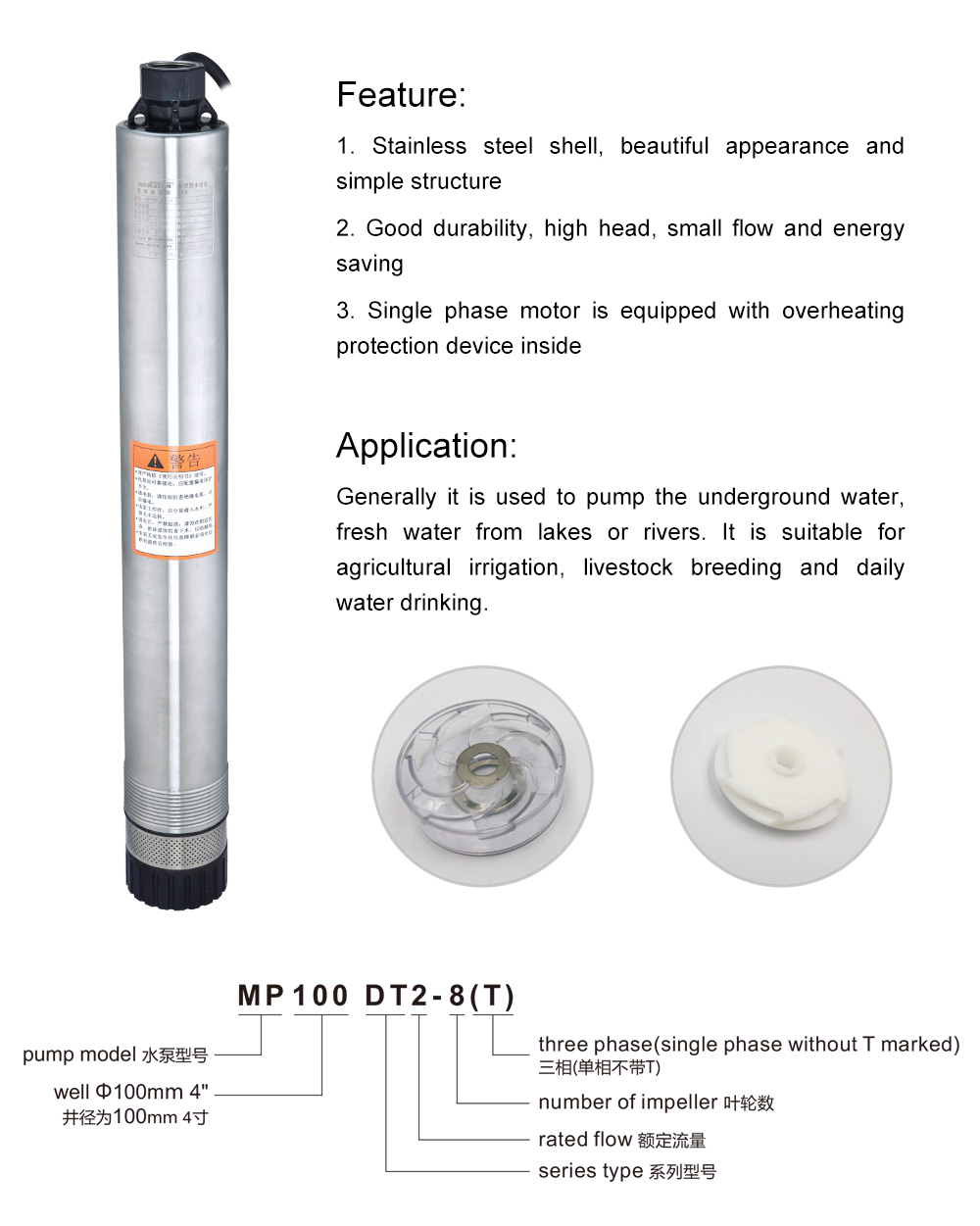 ضخ يصل الداعم ملكة جمال رياضية